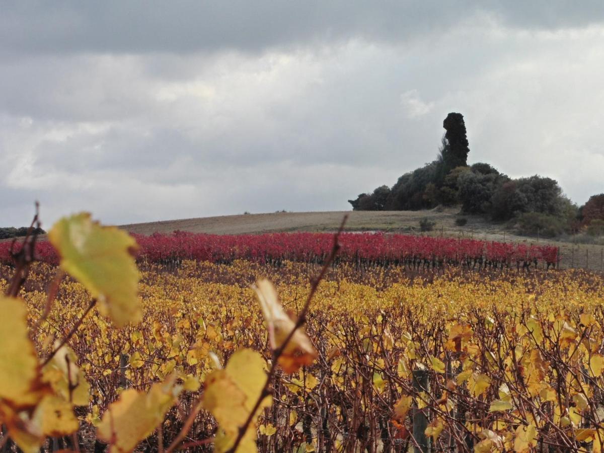 L'Albane Chambres D'Hotes Lauraguel ภายนอก รูปภาพ